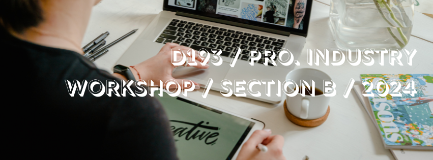 D 193 / Pro. Industry Workshop / Section B /2024