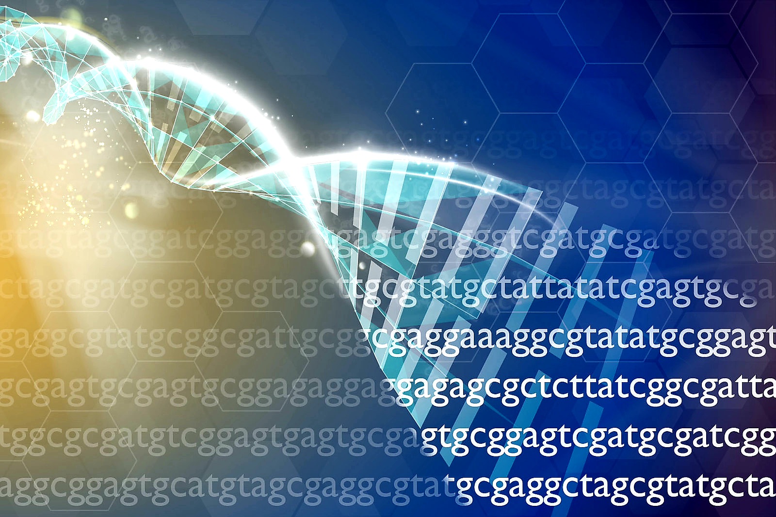 BIO 112 - Elementary Genetics