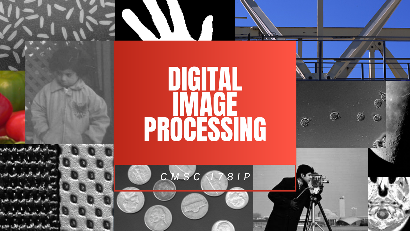 CMSC 178 Digital Image Processing