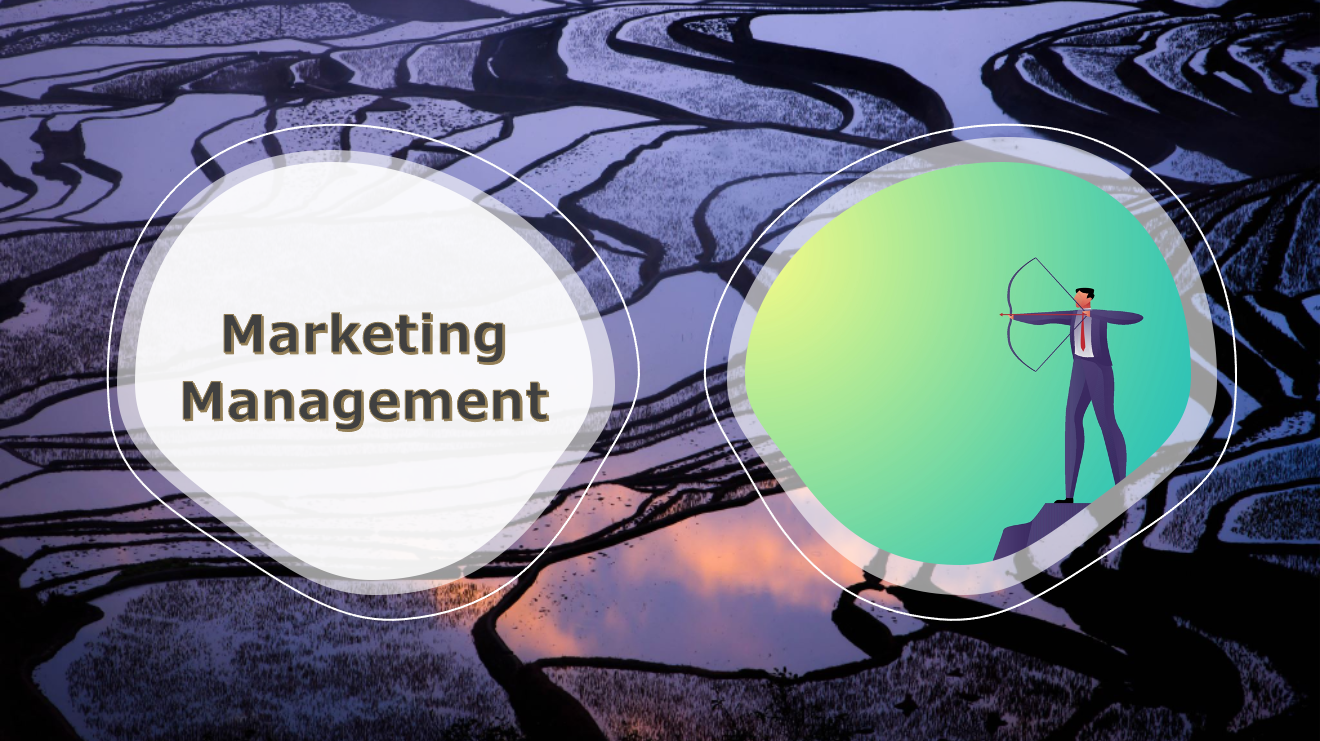 Management 173 (Marketing Management)