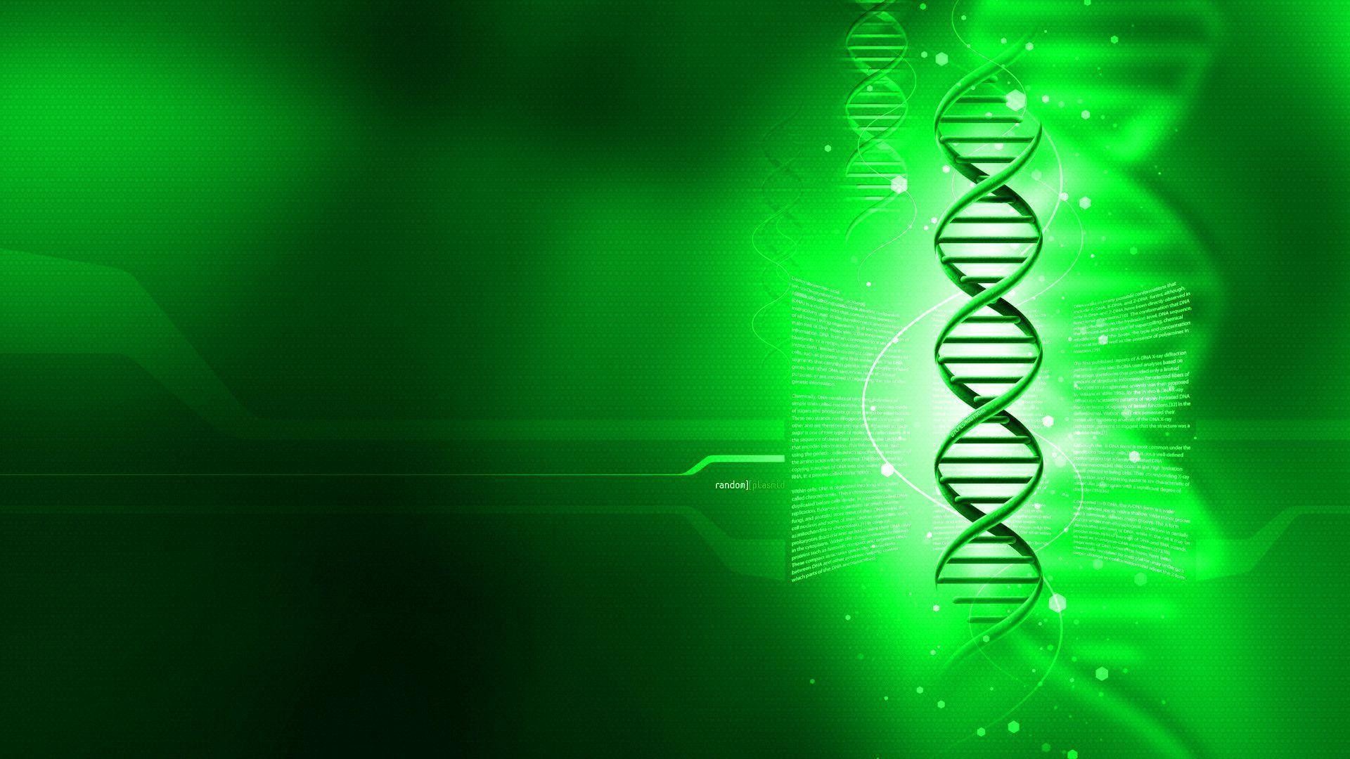 BIO 113 (2023)