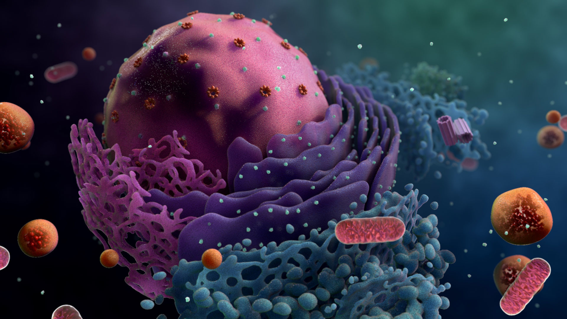 BIO 114 2023