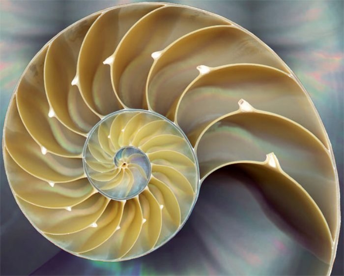 Discrete Mathematics in Computer Science