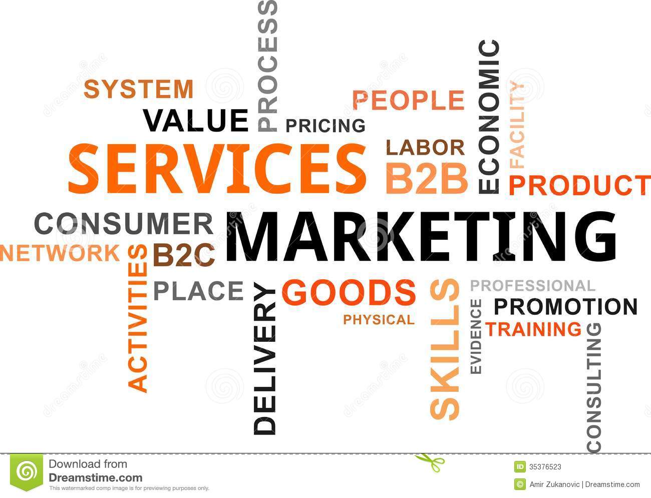 BA 235- Services Marketing and Management